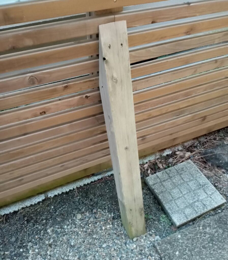 材木に着いた藻がきれいにとれた